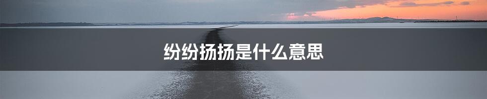 纷纷扬扬是什么意思