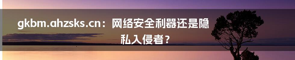 gkbm.ahzsks.cn：网络安全利器还是隐私入侵者？