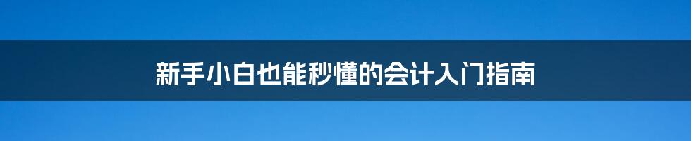 新手小白也能秒懂的会计入门指南