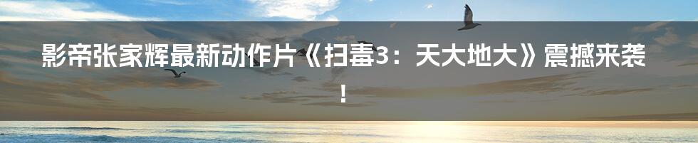 影帝张家辉最新动作片《扫毒3：天大地大》震撼来袭！