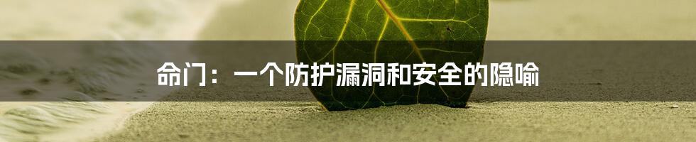 命门：一个防护漏洞和安全的隐喻