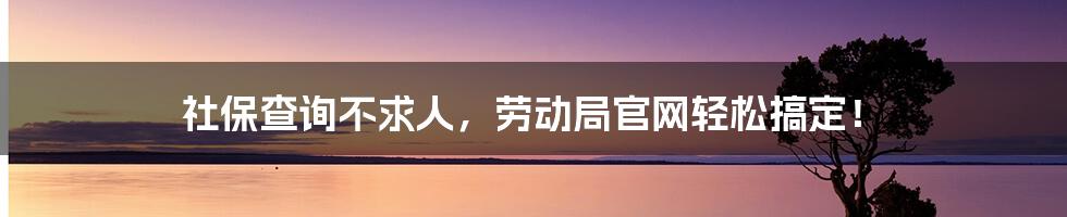 社保查询不求人，劳动局官网轻松搞定！