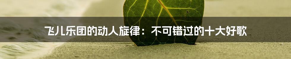 飞儿乐团的动人旋律：不可错过的十大好歌