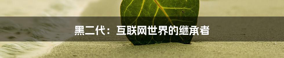 黑二代：互联网世界的继承者