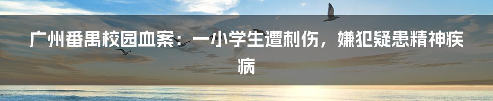 广州番禺校园血案：一小学生遭刺伤，嫌犯疑患精神疾病