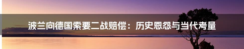 波兰向德国索要二战赔偿：历史恩怨与当代考量