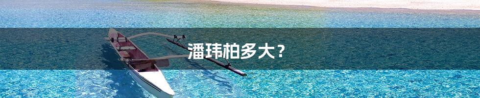 潘玮柏多大？