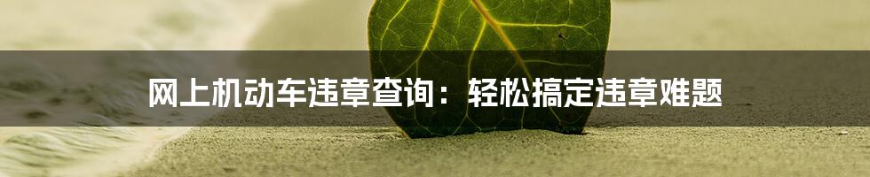 网上机动车违章查询：轻松搞定违章难题