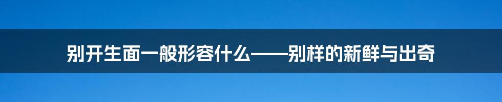 别开生面一般形容什么——别样的新鲜与出奇