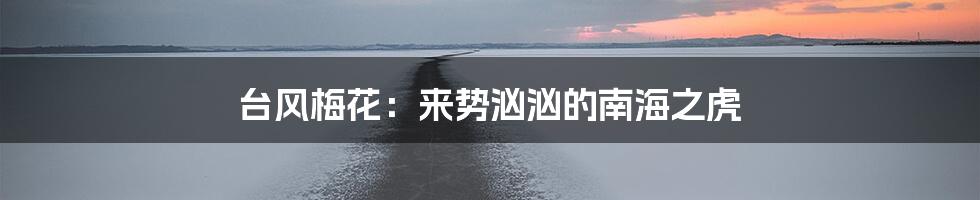 台风梅花：来势汹汹的南海之虎