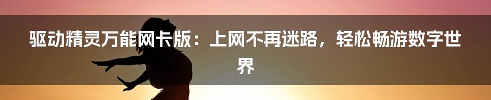 驱动精灵万能网卡版：上网不再迷路，轻松畅游数字世界