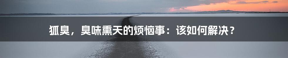 狐臭，臭味熏天的烦恼事：该如何解决？