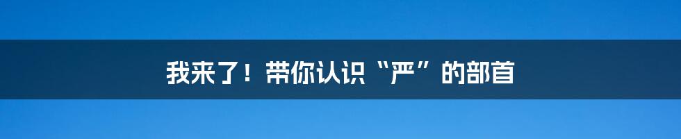 我来了！带你认识“严”的部首