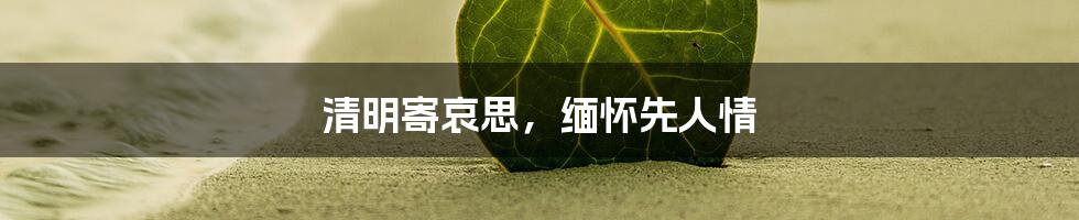 清明寄哀思，缅怀先人情