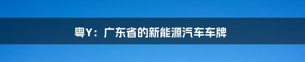 粤Y：广东省的新能源汽车车牌