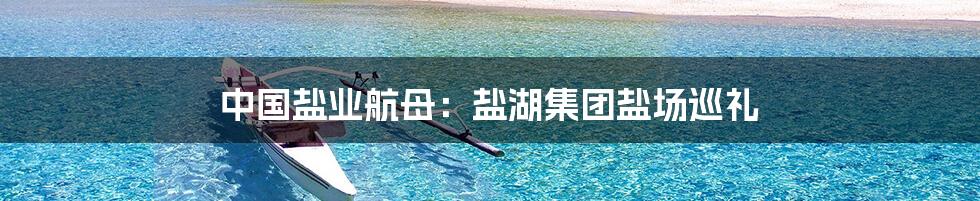 中国盐业航母：盐湖集团盐场巡礼