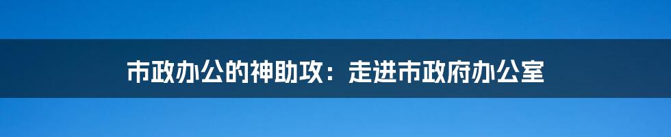 市政办公的神助攻：走进市政府办公室