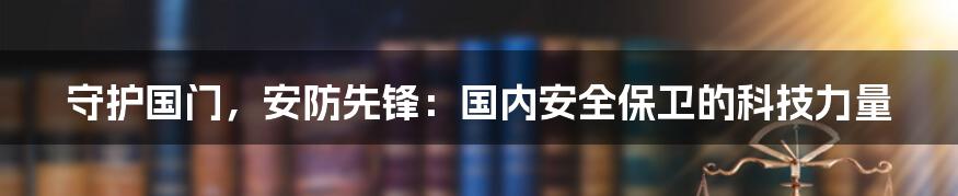 守护国门，安防先锋：国内安全保卫的科技力量