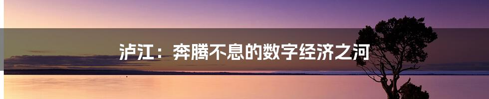 泸江：奔腾不息的数字经济之河