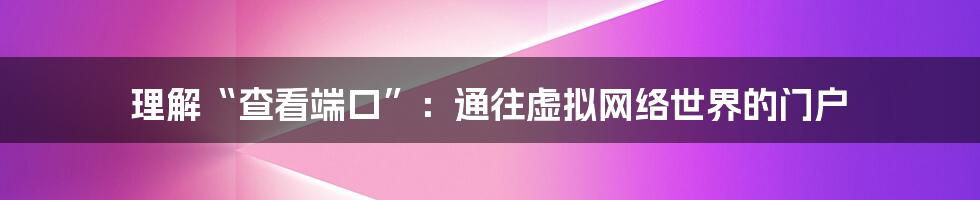 理解“查看端口”：通往虚拟网络世界的门户