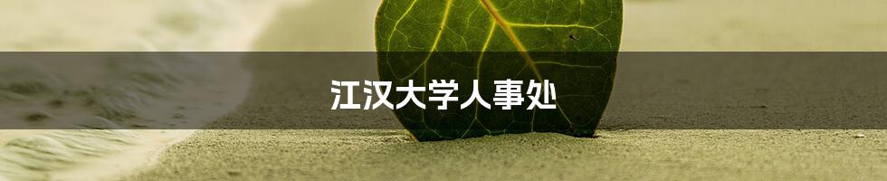 江汉大学人事处