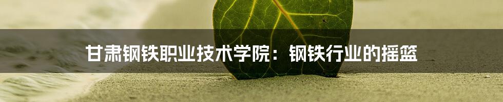 甘肃钢铁职业技术学院：钢铁行业的摇篮