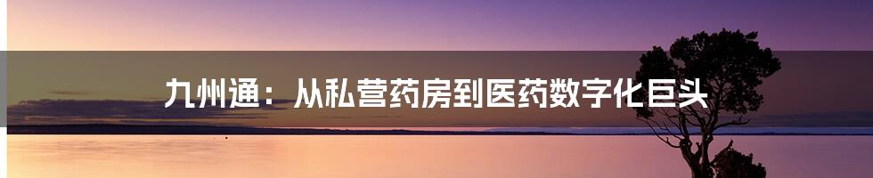 九州通：从私营药房到医药数字化巨头