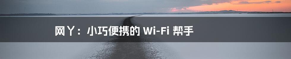网丫：小巧便携的 Wi-Fi 帮手
