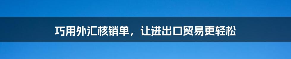 巧用外汇核销单，让进出口贸易更轻松