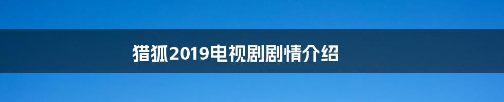 猎狐2019电视剧剧情介绍