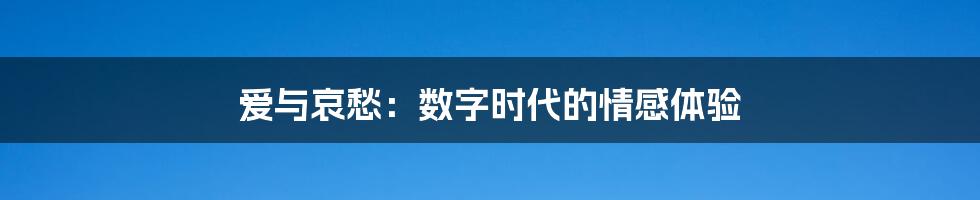 爱与哀愁：数字时代的情感体验