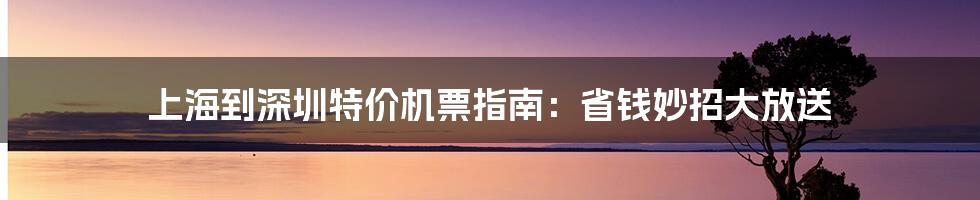 上海到深圳特价机票指南：省钱妙招大放送