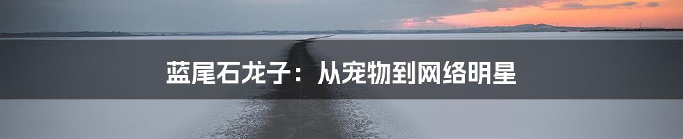 蓝尾石龙子：从宠物到网络明星