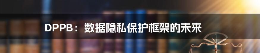 DPPB：数据隐私保护框架的未来