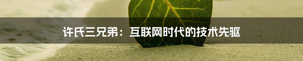 许氏三兄弟：互联网时代的技术先驱