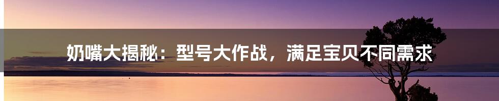 奶嘴大揭秘：型号大作战，满足宝贝不同需求