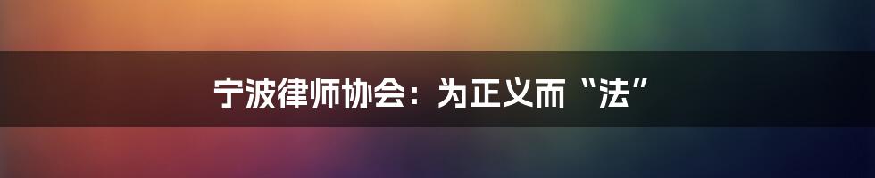 宁波律师协会：为正义而“法”