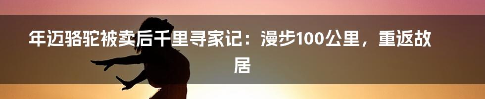 年迈骆驼被卖后千里寻家记：漫步100公里，重返故居