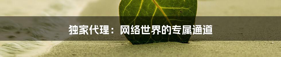 独家代理：网络世界的专属通道