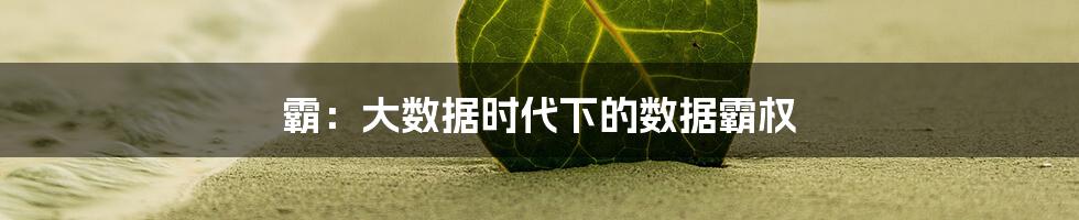 霸：大数据时代下的数据霸权