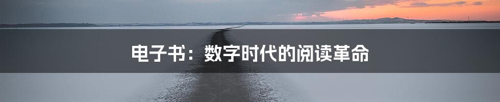 电子书：数字时代的阅读革命