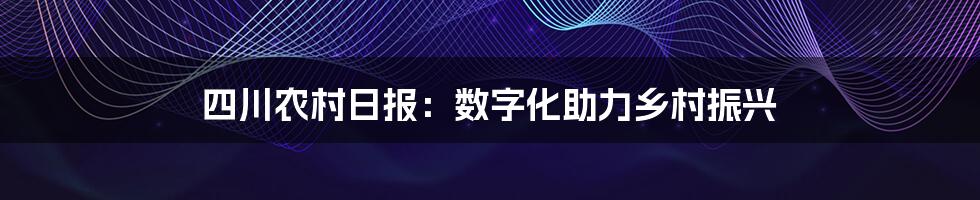 四川农村日报：数字化助力乡村振兴