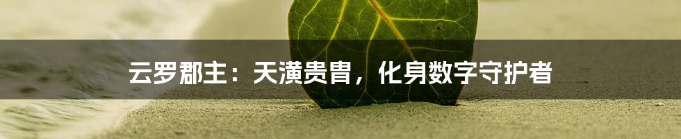 云罗郡主：天潢贵胄，化身数字守护者