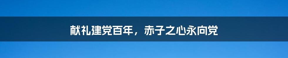 献礼建党百年，赤子之心永向党