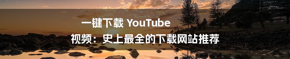 一键下载 YouTube 视频：史上最全的下载网站推荐