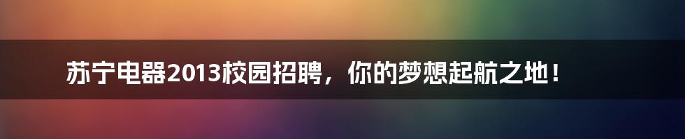 苏宁电器2013校园招聘，你的梦想起航之地！