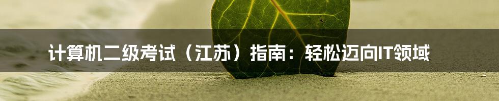 计算机二级考试（江苏）指南：轻松迈向IT领域