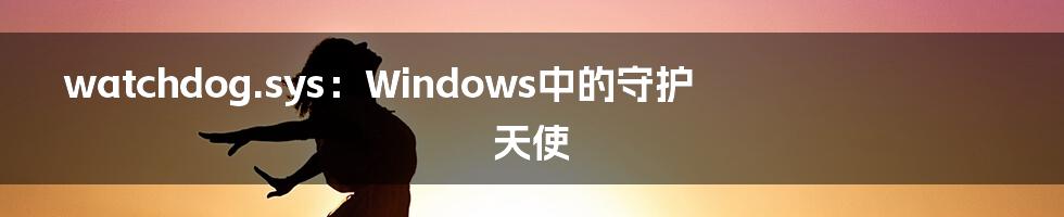 watchdog.sys：Windows中的守护天使