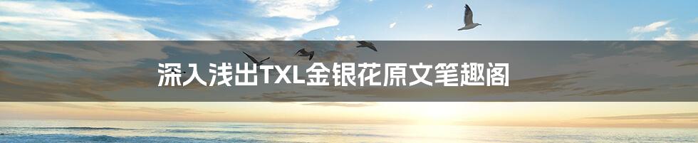 深入浅出TXL金银花原文笔趣阁