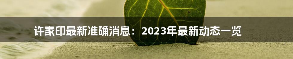 许家印最新准确消息：2023年最新动态一览